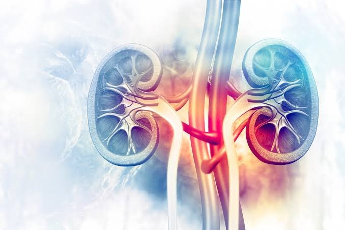 Critical Care Nephrology