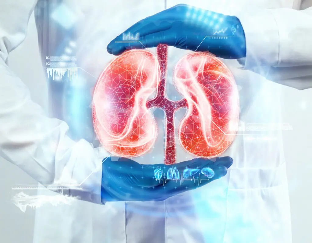 Kidney care and nephrology